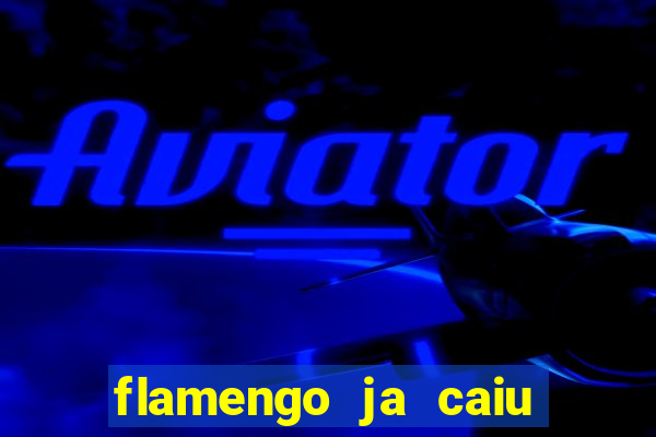 flamengo ja caiu para serie b
